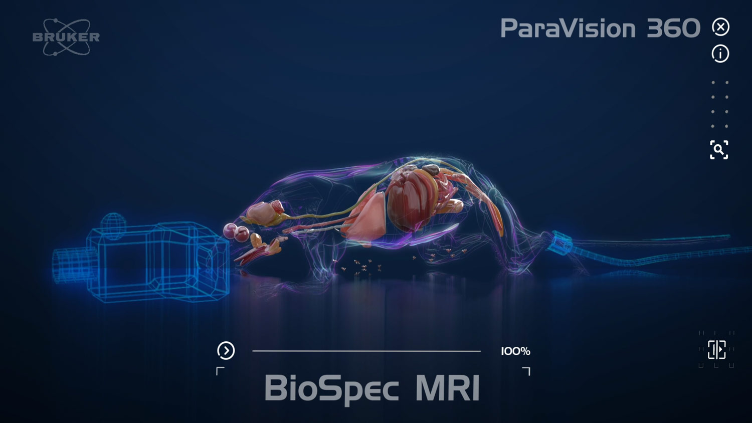 3D-Produktvideo 3D-Maus mit Organen